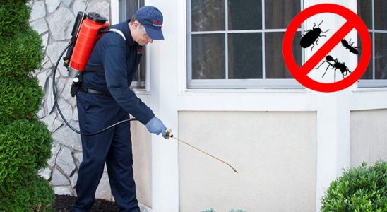 Kepsut Fare İlaçlama böcek ilaçlama ve haşere kontrolü — ilaclama-tr.com